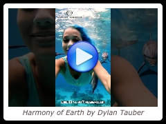 Harmony of Earth by Dylan Tauber