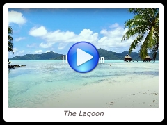The Lagoon