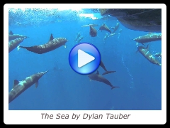 The Sea by Dylan Tauber