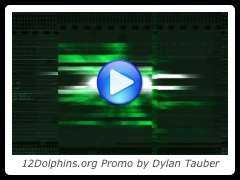 12Dolphins.org Promo by Dylan Tauber